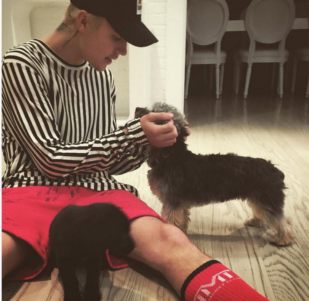 Bieber pets Esther and new pup Phil