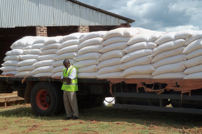 Grains stakeholders asks govt to lift ban on export of maize