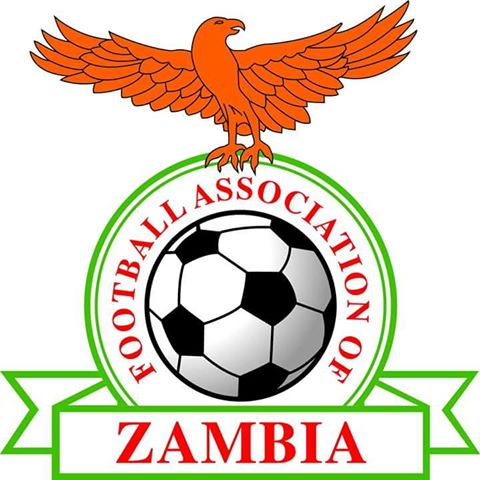 Zambia Vs. Guinea game