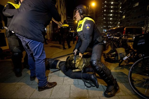  Police dogs were used to control protesters in Rotterdam 
